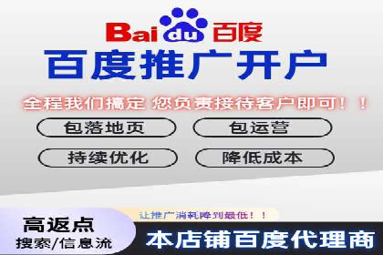精准投放，高效转化：关键词竞价排名案例解析